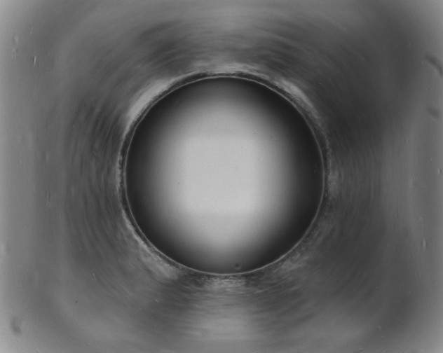 X0000101691183200807101506