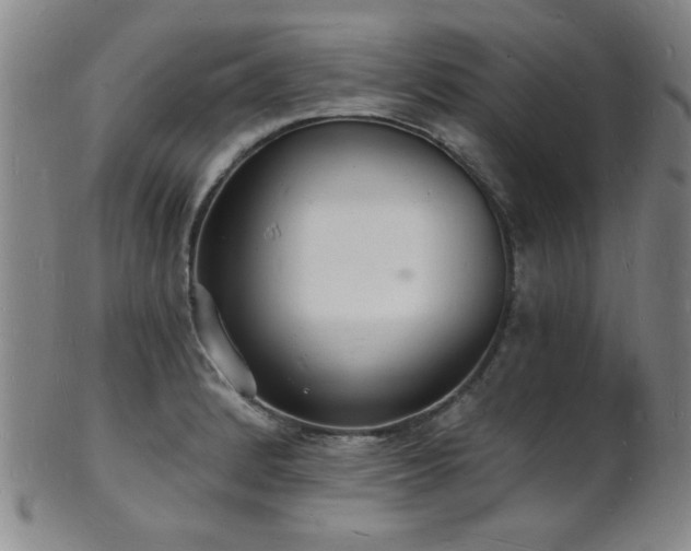 X0000101691184200807101506