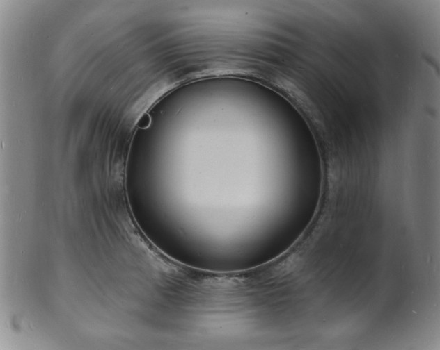X0000101691185200807101506