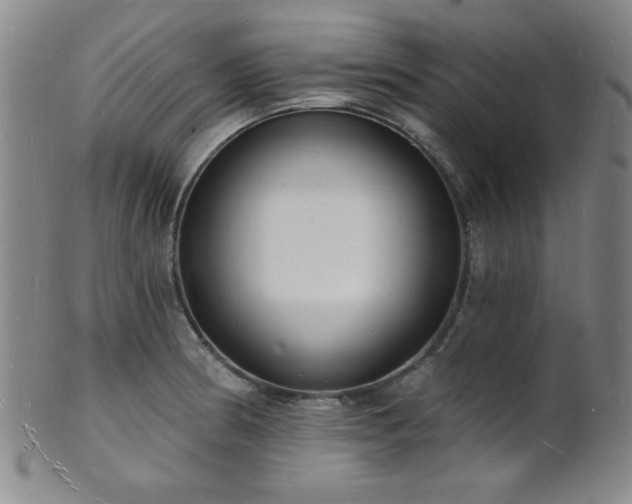 X0000101691186200807101506