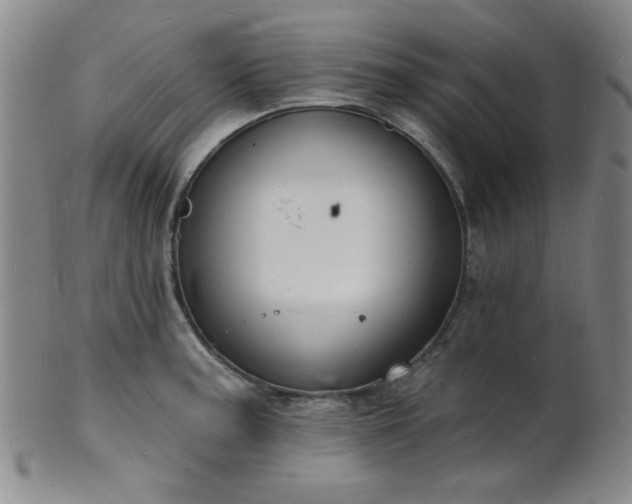 X0000101691187200807101506