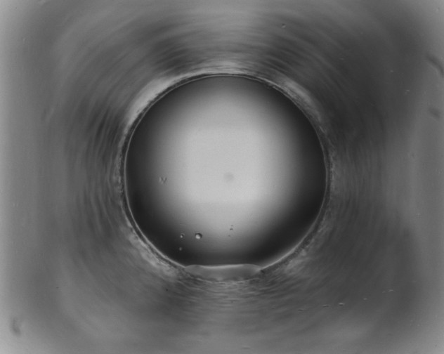 X0000101691192200807101506