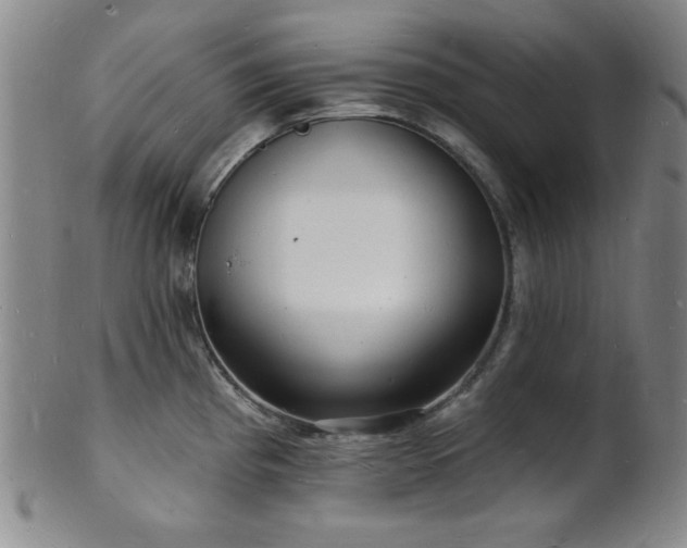 X0000101691193200807101506
