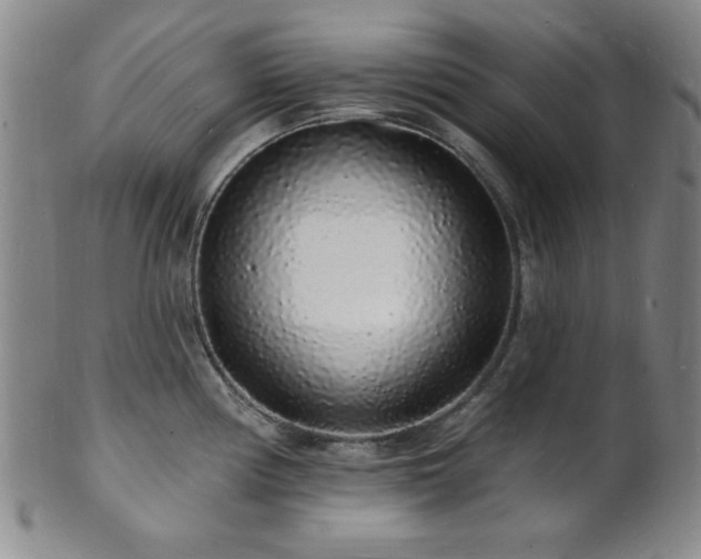 X0000101691194200807101506