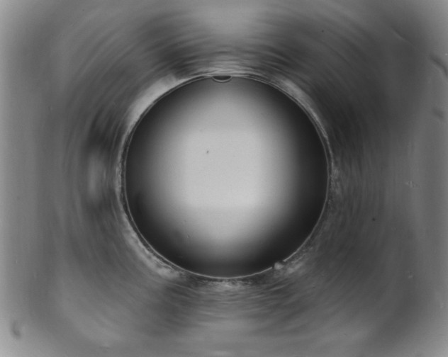 X0000101691195200807101506