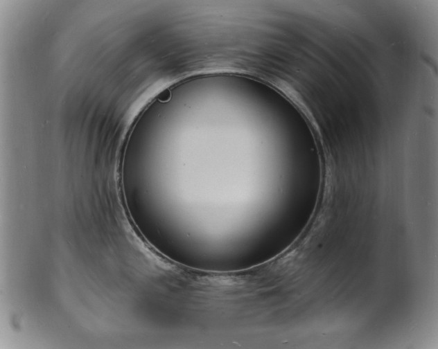 X0000101691197200807101506