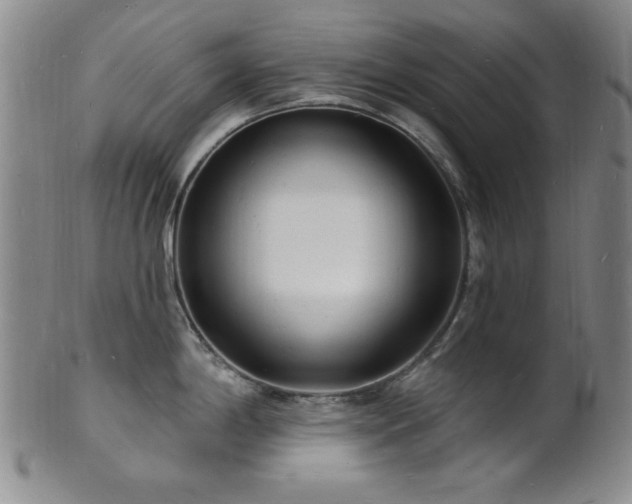 X0000101691198200807101506