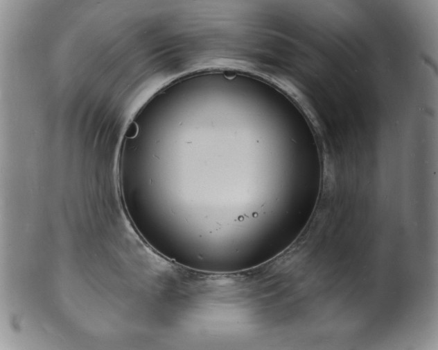 X0000101691199200807101506