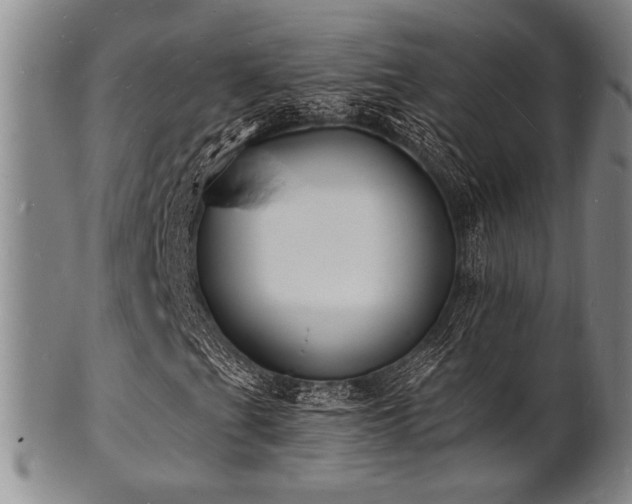 X0000101691201200807101505
