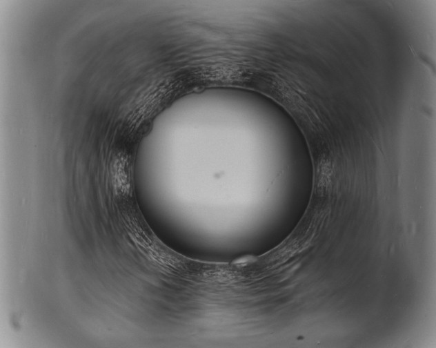 X0000101691202200807101505