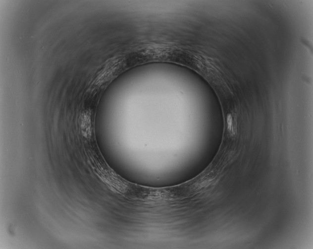 X0000101691203200807101505