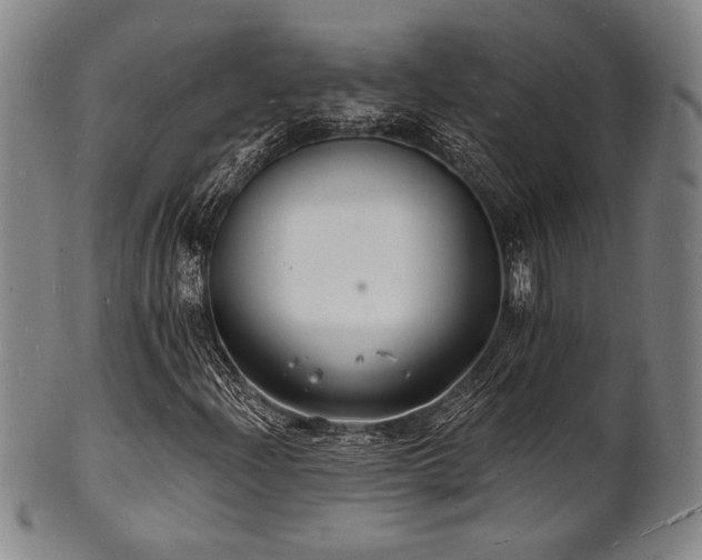 X0000101691204200807101505