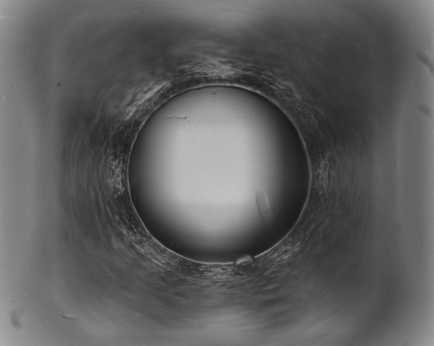 X0000101691205200807101505