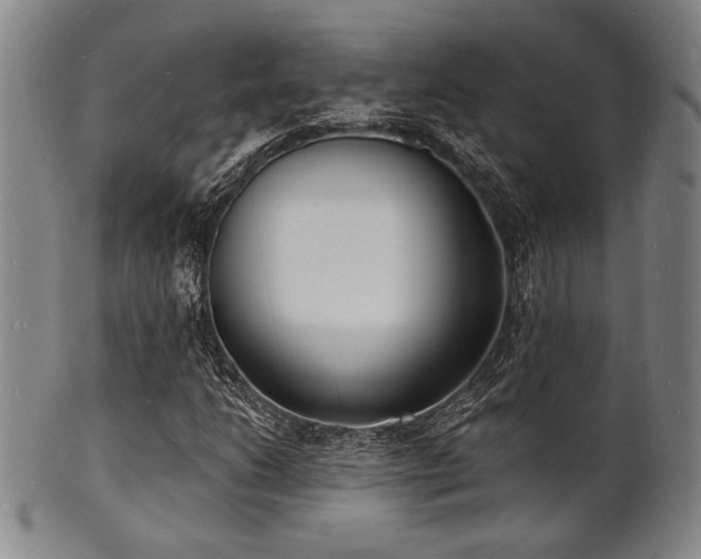 X0000101691206200807101505