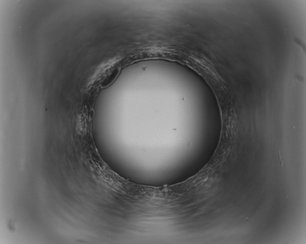 X0000101691207200807101505