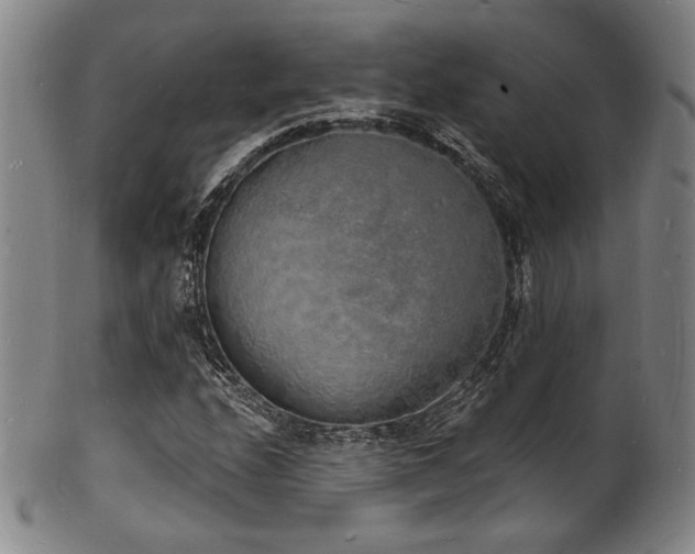 X0000101691208200807101505
