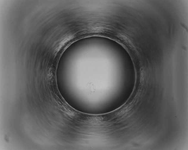 X0000101691210200807101505