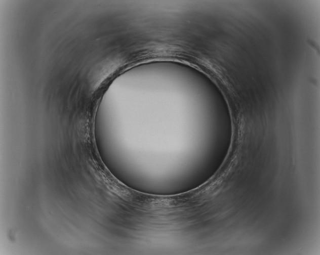 X0000101691211200807101505