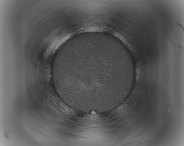 X0000101691213200807101505