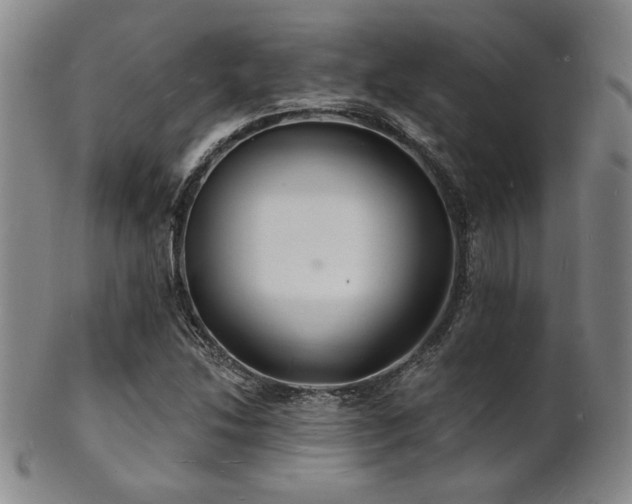 X0000101691214200807101505