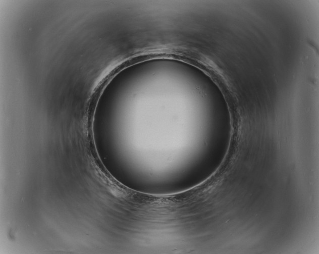 X0000101691216200807101505