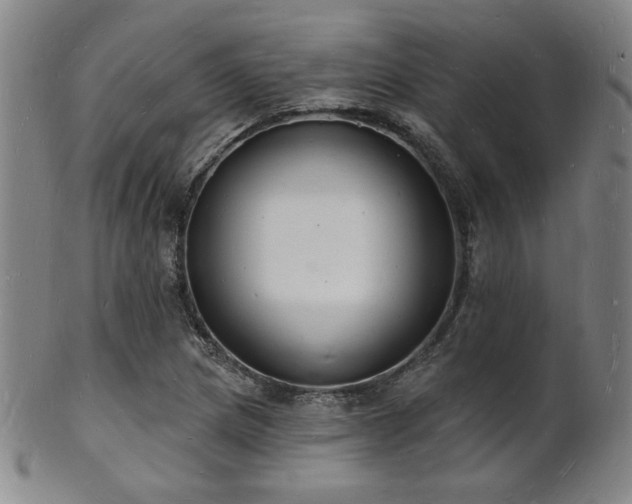X0000101691217200807101505