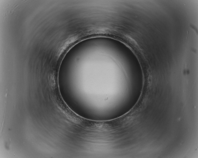 X0000101691218200807101505