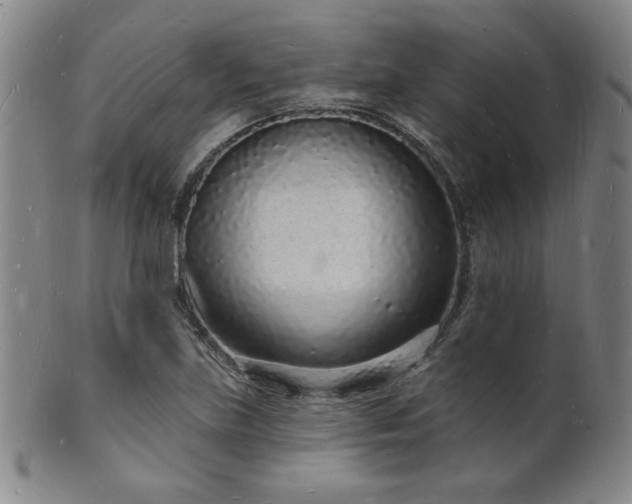X0000101691219200807101505