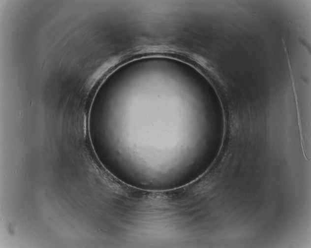X0000101691221200807101505