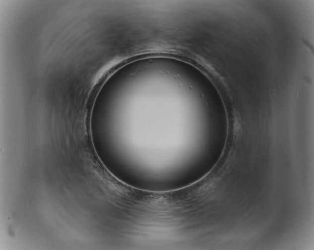 X0000101691222200807101505