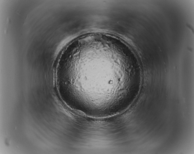 X0000101691223200807101505