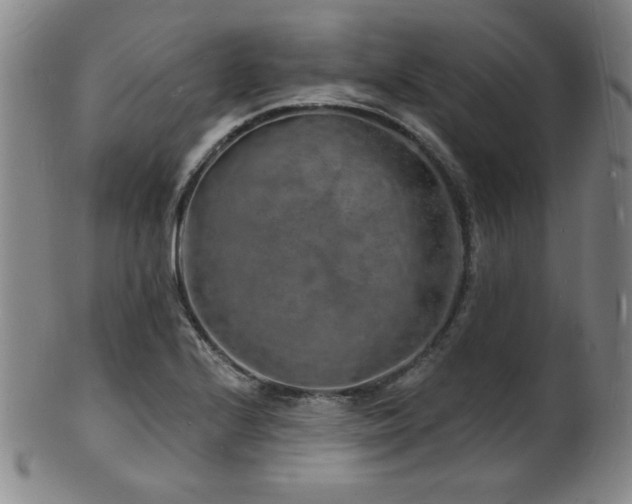 X0000101691224200807101505