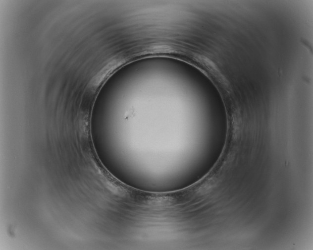 X0000101691225200807101505