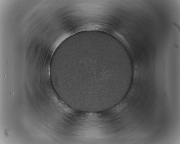 X0000101691226200807101505