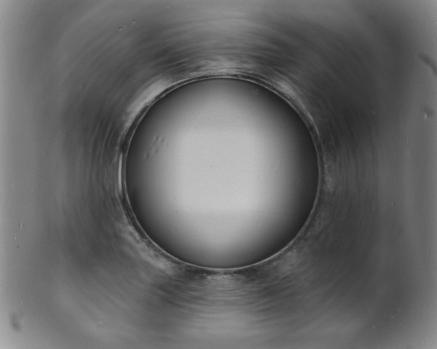 X0000101691227200807101505