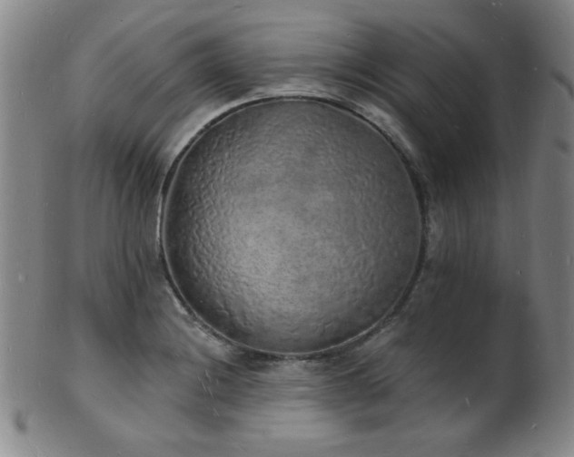 X0000101691228200807101505