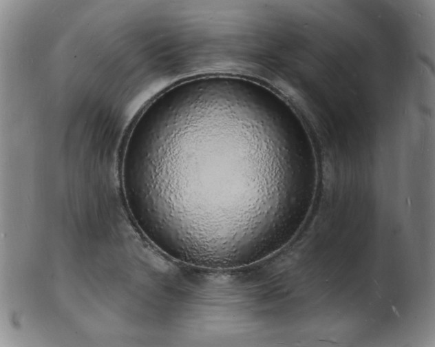 X0000101691230200807101505