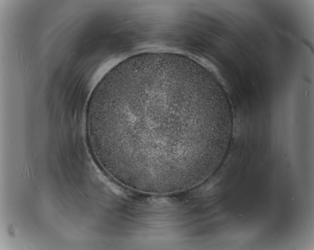 X0000101691231200807101505