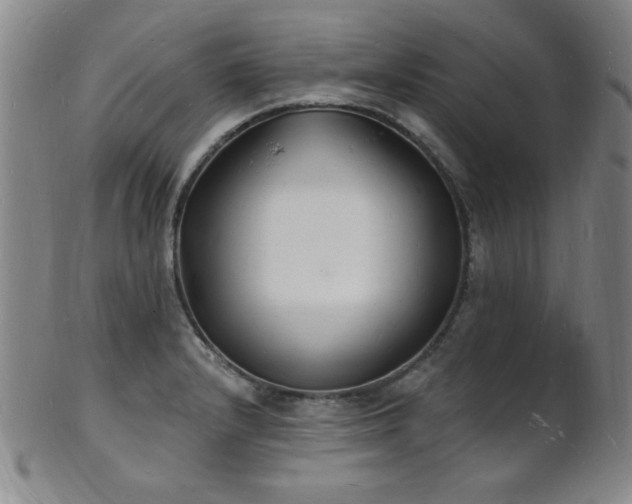 X0000101691232200807101505