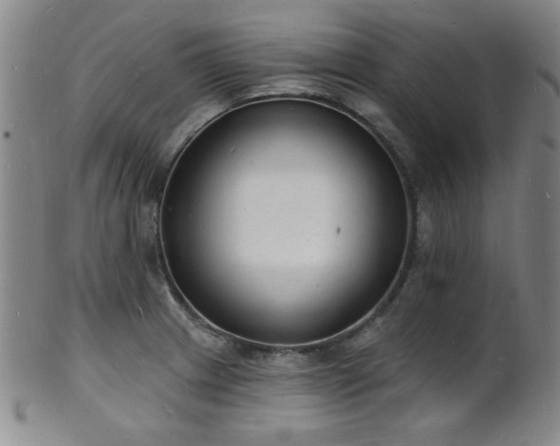 X0000101691233200807101505