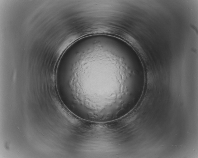 X0000101691234200807101505