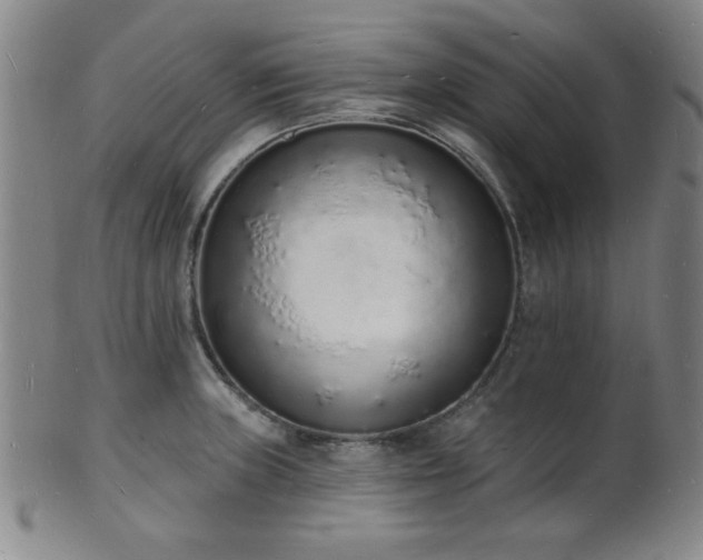 X0000101691235200807101505