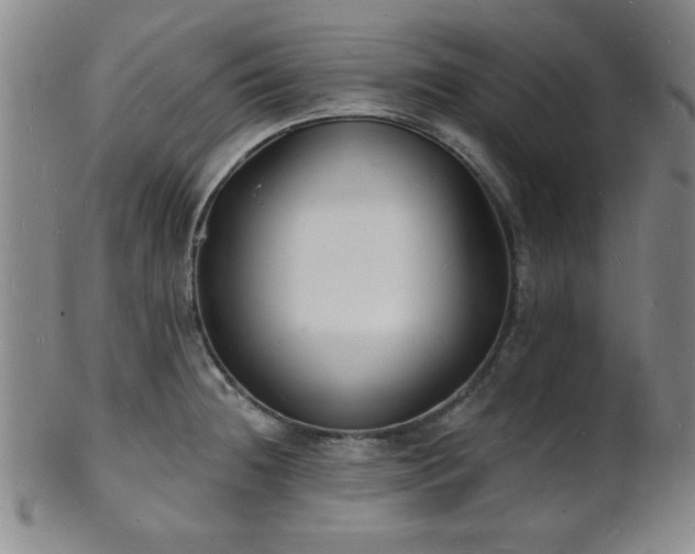 X0000101691236200807101505