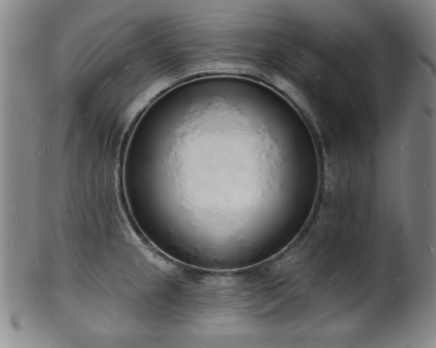 X0000101691237200807101505