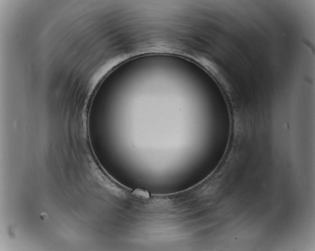 X0000101691238200807101505