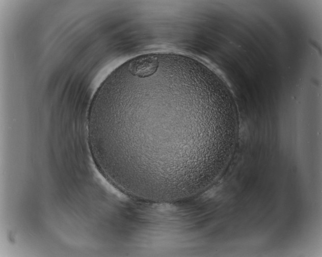 X0000101691239200807101505