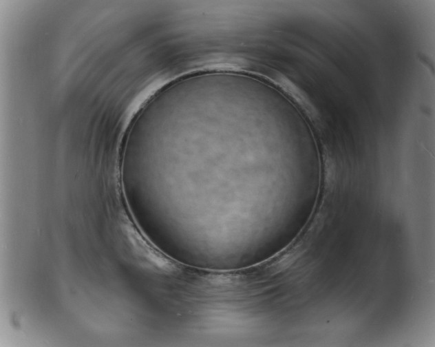 X0000101691240200807101505