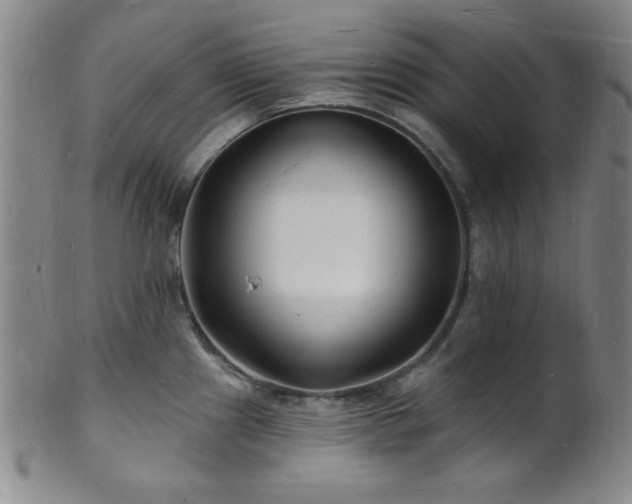 X0000101691241200807101505