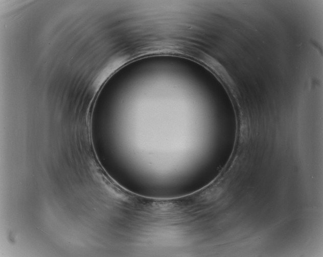 X0000101691242200807101505