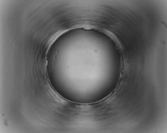 X0000101691244200807101505